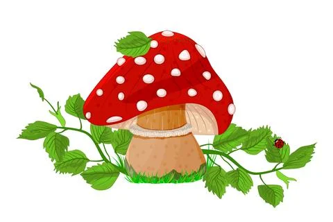 Mushroom. Fly agaric in grass isolated on white background. Toadstool. 库存插图