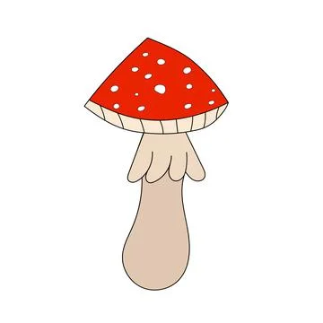 Mushroom fly agaric on white background in style of flat Stock Illustration