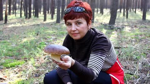 Mushroom Video stock 12389489