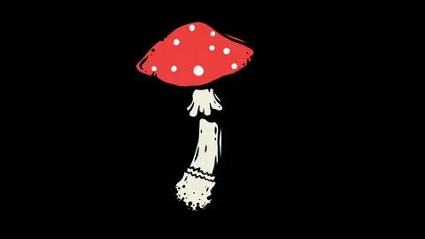 Mushroom Stock Footage 123271521