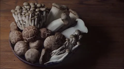 Mushroom Stock Footage