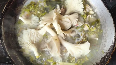With mushroom Stock Footage 337101918