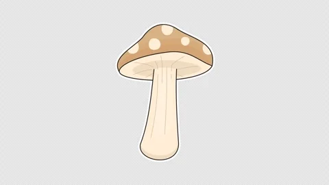 Mushroom Stock Footage 337305524