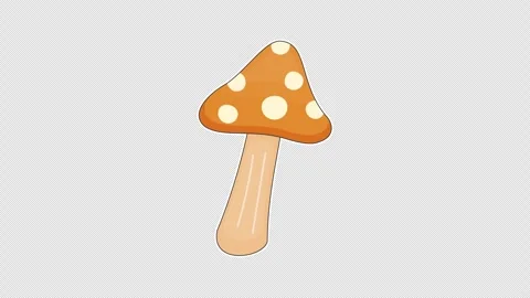 Mushroom Vídeos de archivo 337305546