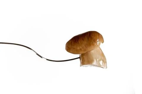 Mushroom on a fork Stock Photos