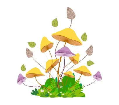 Mushroom with grass isolated on white background Illustrazione stock