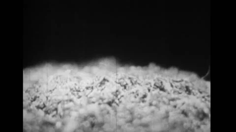 Mushroom growing from decayed wood Stock Footage 37592539
