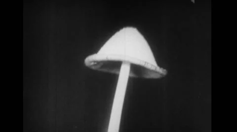 Mushroom growing Stock Footage 37592656