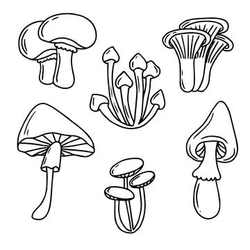 Mushroom hand drawn set vector illustration. Mushrooms collection in doodle s Stock Illustration