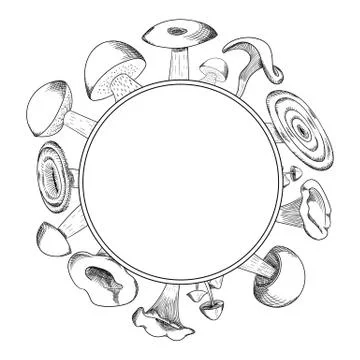 Mushroom hand drawn sketch vector wreath. Mushroom shiitake, fresh organic food Stock Illustration