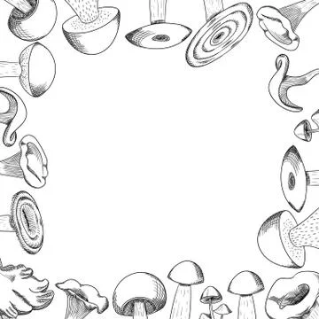 Mushroom hand drawn sketch vector frame. Mushroom shiitake, fresh organic food Stock Illustration