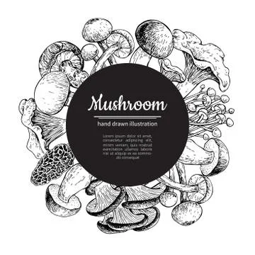 Mushroom hand drawn vector frame. Isolated Sketch organic food d Illustrazione stock