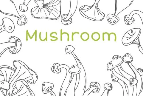 Mushroom hand drawn vector frame. Isolated Sketch organic food drawing template. Stock Illustration