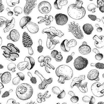 Mushroom hand drawn vector seamlees pattern. Isolated Sketch foo Stock Illustration