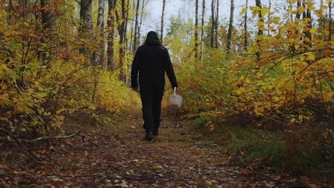 Mushroom hunter in black with wicker basket enjoys peaceful environment of Stock Footage 309919430