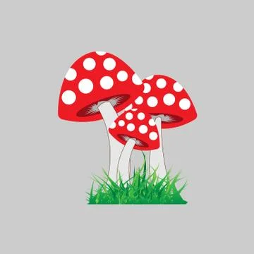 Mushroom Stock Illustration