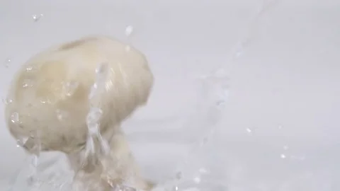 Mushroom isolated and falling Stock Footage 71451989