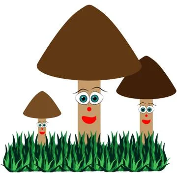 Mushroom isolated on white background Stock Illustration