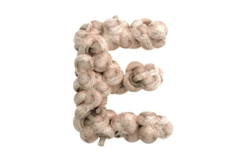 Mushroom letter E on white background Stock Illustration