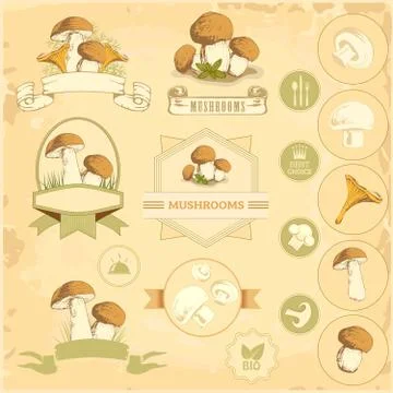 Mushroom logo set Stock Illustration