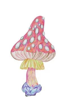 Mushroom from the magic forest Stock Illustration