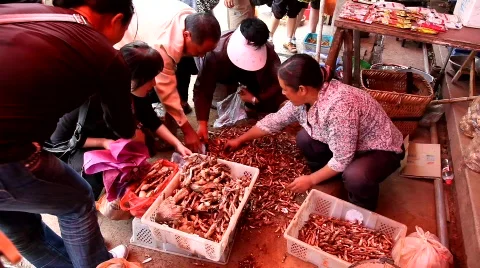 Mushroom market in Kangding, China Stock Footage