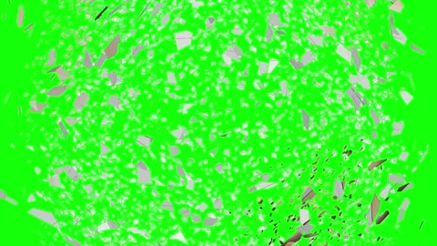 Mushroom Motion on Chroma Key for Compositing Stock Footage 337990716