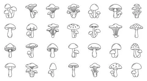 Mushroom outline icon set with diverse hand drawn linear fungus elements vector Stock Illustration