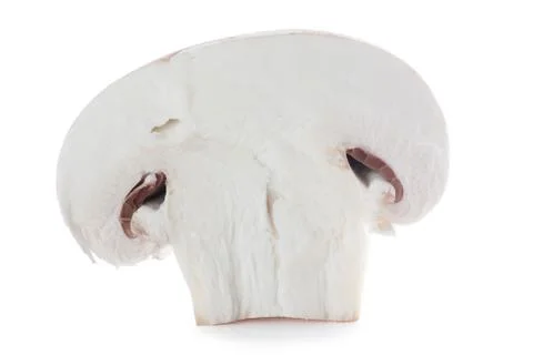 Mushroom Stock Photos