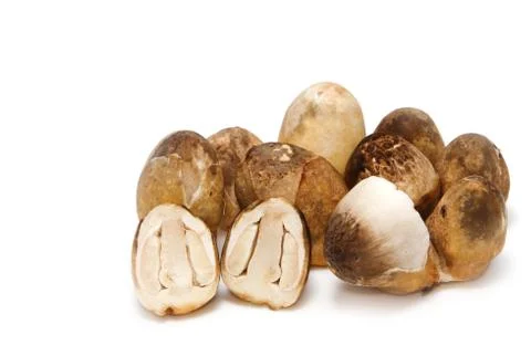 Mushroom Stock Photos