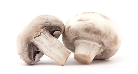 Mushroom Stock Photos