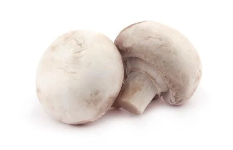 Mushroom Stock Photos