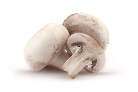 Mushroom Stock Photos