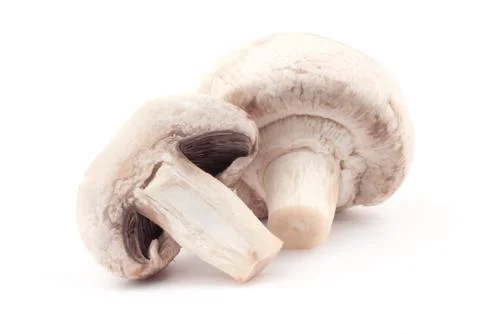 Mushroom Stock Photos