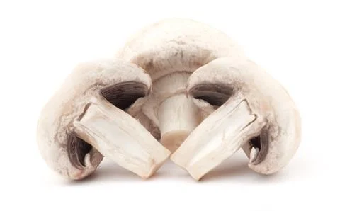 Mushroom Foto stock