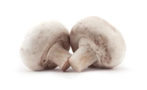 Mushroom Stock Photos