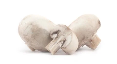 Mushroom Foto stock