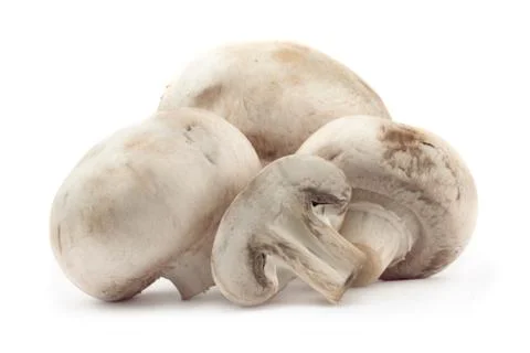 Mushroom Stock Photos