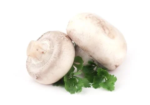 Mushroom Foto stock