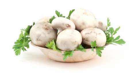 Mushroom Stock Photos