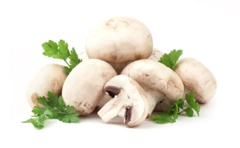 Mushroom Stock Photos