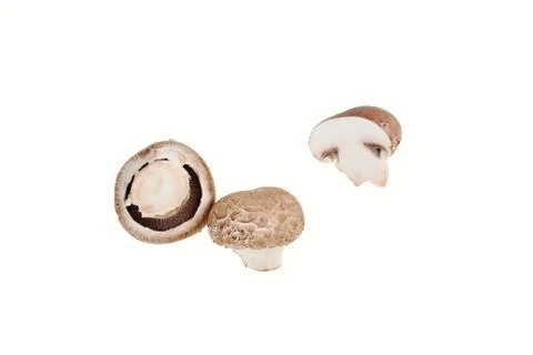 Mushroom Stock Photos