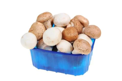 Mushroom Stock Photos