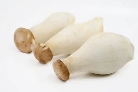 Mushroom Foto stock