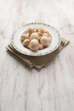 Mushroom Stock Photos