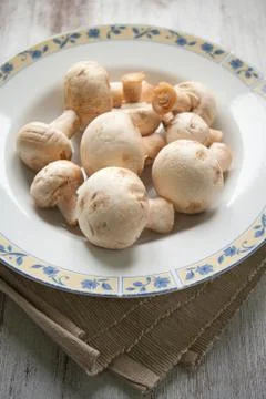 Mushroom Stock Photos
