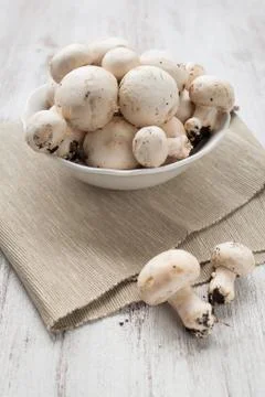 Mushroom Stock Photos