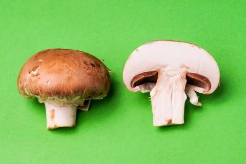 Mushroom Stock Photos
