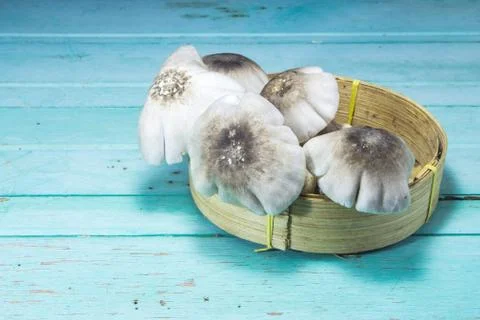 Mushroom 库存照片