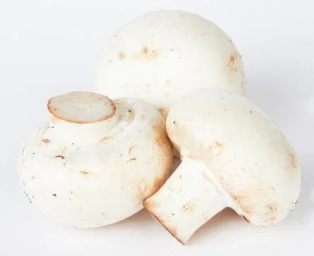 Mushroom Foto stock